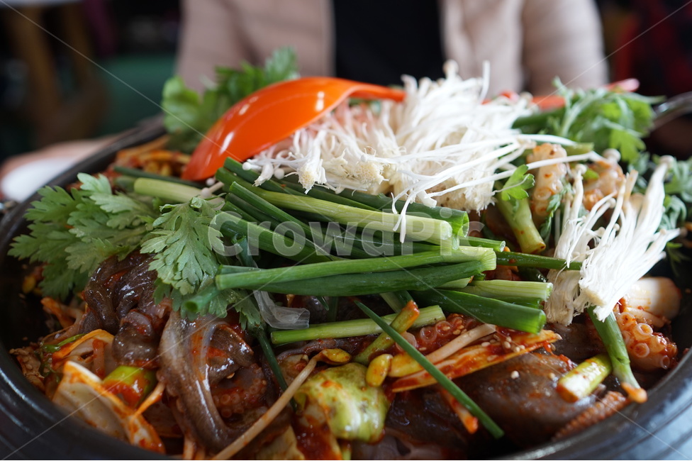 쭈꾸미볶음,해산물,한국음식,쭈꾸미요리,해산물요리,음식,식재료,요리,food,cook,meal,dishes,food reserves,수산물,해산물,fishery products,seafood,한식,한국음식,한국요리,korean food,korean dishes,korean meal,korean cook