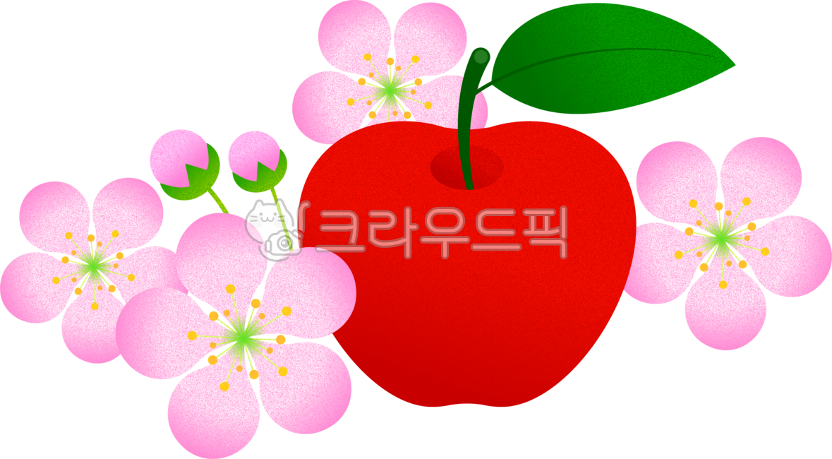 사과꽃,appleflower,appleleaf,사과꽃그림,사과꽃일러스트,꽃그림,꽃,잎,flowerillustration,nature,plant,자연,식물,분홍꽃,pinkflower,appleflowerillustration,사과,apple,redapple,빨간사과,fruit,과일,과일그림,일러스트,illustration,그래픽,열매,graphic,과일일러스트,fruitillustration,fruitdrawing,foodillustration,음식그림,음식,음식일러스트