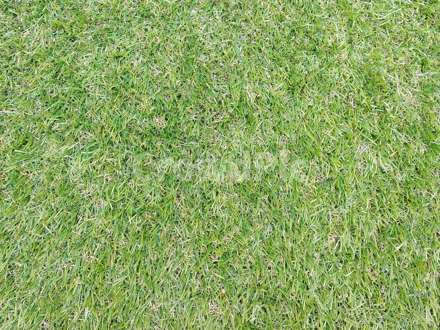 grass,잔디,plant,식물,바닥,인조잔디,식물,자연,plants,nature