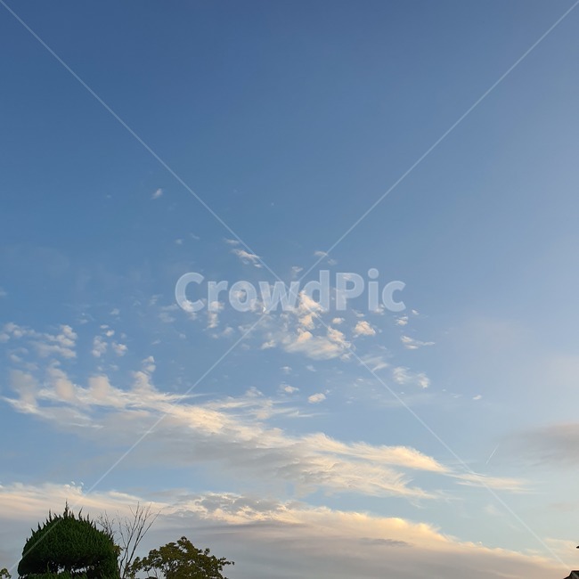 nature,자연,구름,하늘,sky,cloud,moon,나무