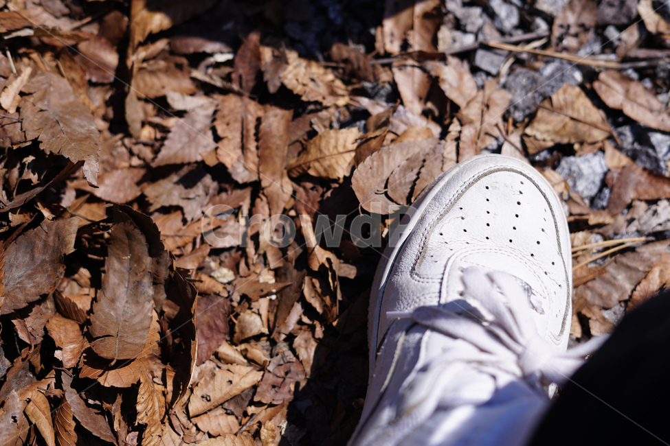 낙엽,신발,fallenleaves,deadleaves,가을,낙엽밟기,가을,계절,fall,autumn,season,running shoe,러닝화