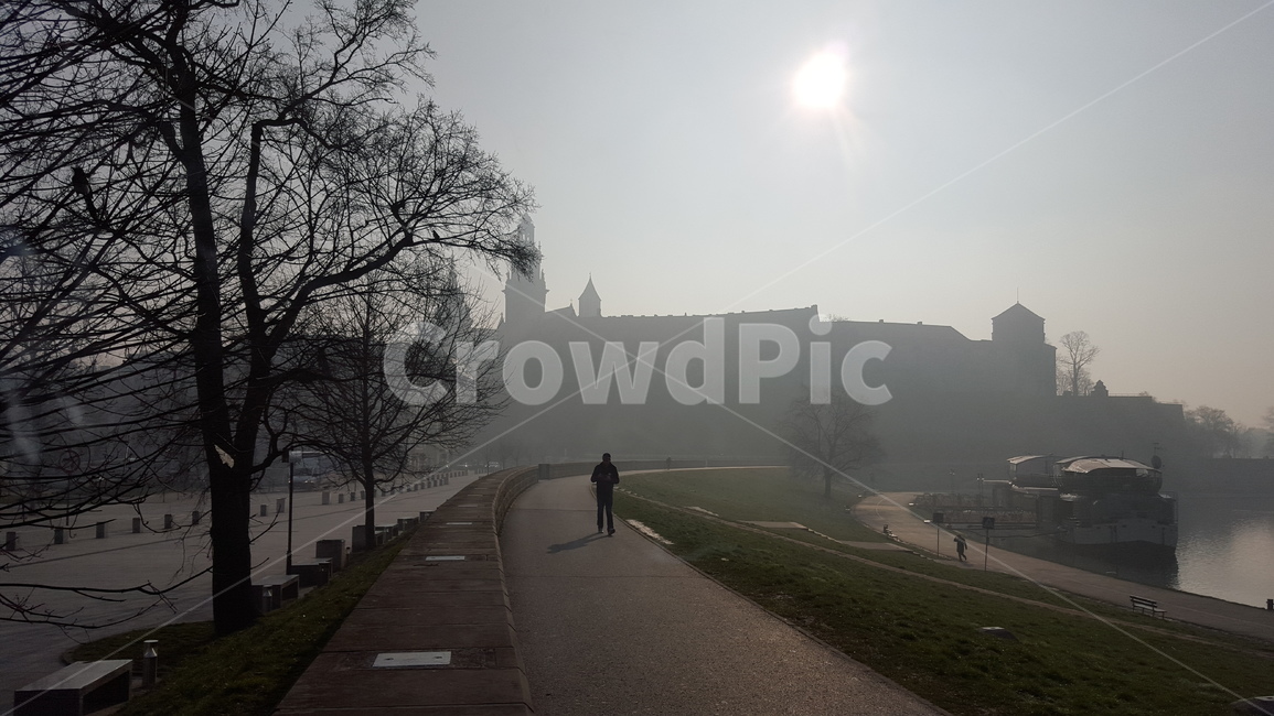 안개,도시,스모그,아침,공원,조깅,fog,city,morning,running