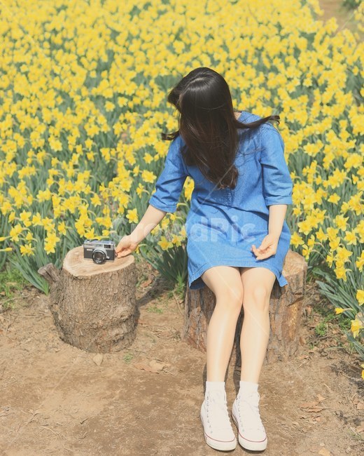수선화,인물사진,여자,카메라,나무,봄,계절,spring,season,사람,인물,인간,human,person,여성,여자,woman,female,lady,사진작가,포토그래퍼,photographer