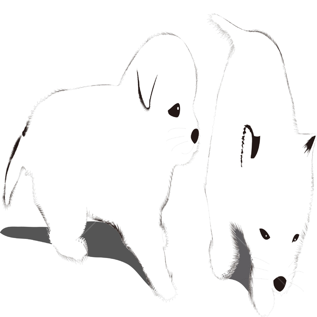 진돗개,새끼강아지,토종개,한국개,귀여운,강아지캐릭터,개,강아지,dog,doggy,그래픽,일러스트레이션,graphic,illustration