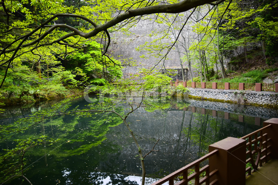 나무,자연,풍경,댐,경치,자연,풍경,nature,landscape