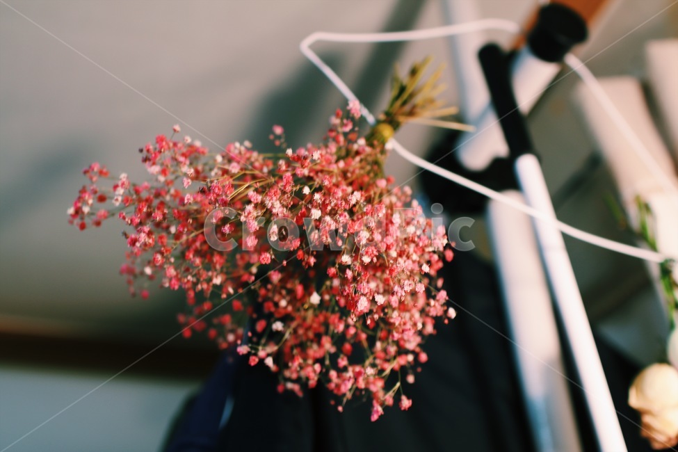 드라이플라워,꽃,감성,감성사진,안개꽃,방,식물,자연,plants,nature,꽃,flower,실내용화초,화분,화초,house plant,감성,sensible,feeling,인테리어,실내디자인,interior design