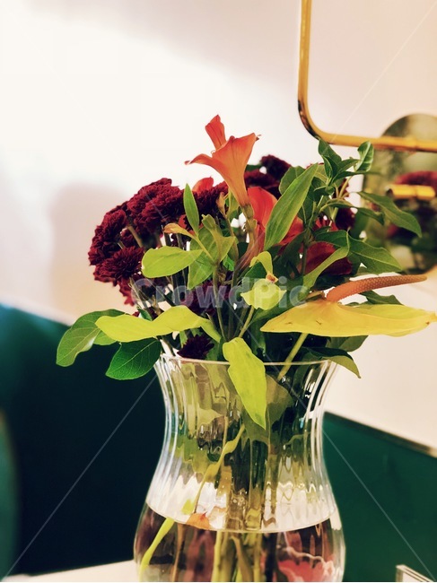 꽃,봄,화훼장식,플라워,앤티크,봄,계절,spring,season,식물,자연,plants,nature,꽃,flower,실내용화초,화분,화초,house plant,인테리어,실내디자인,interior design,plant,blossom