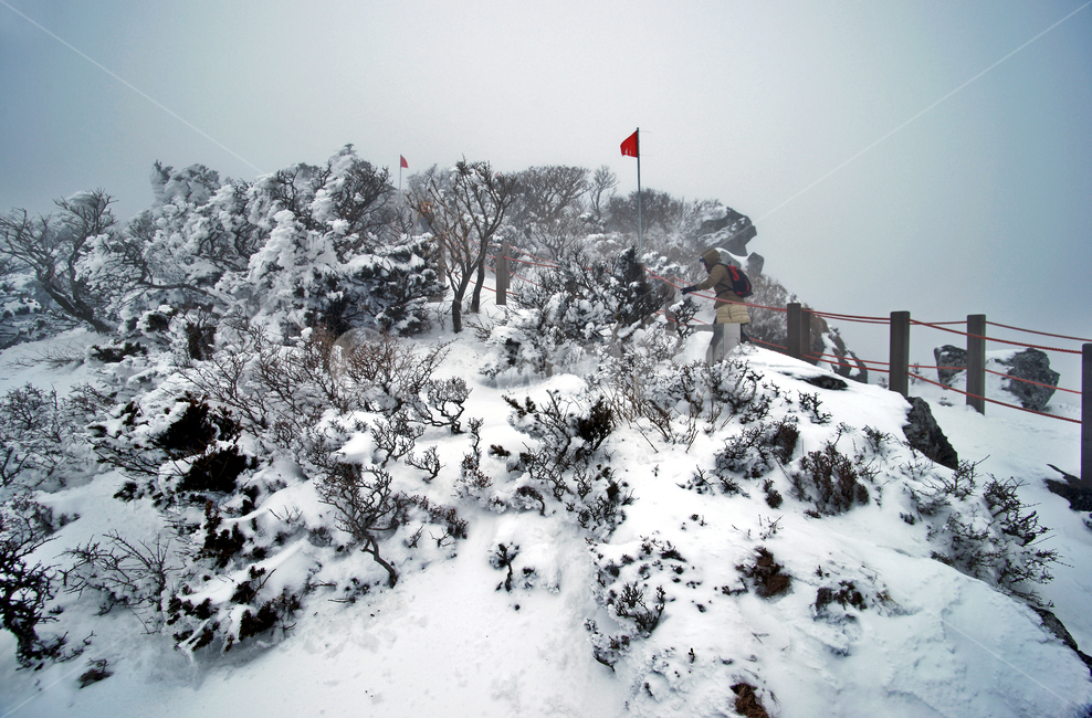 한라산,설경,제주도,영실코스,눈,겨울,설화,안개,탐방로,깃발,등산,겨울,계절,winter,season