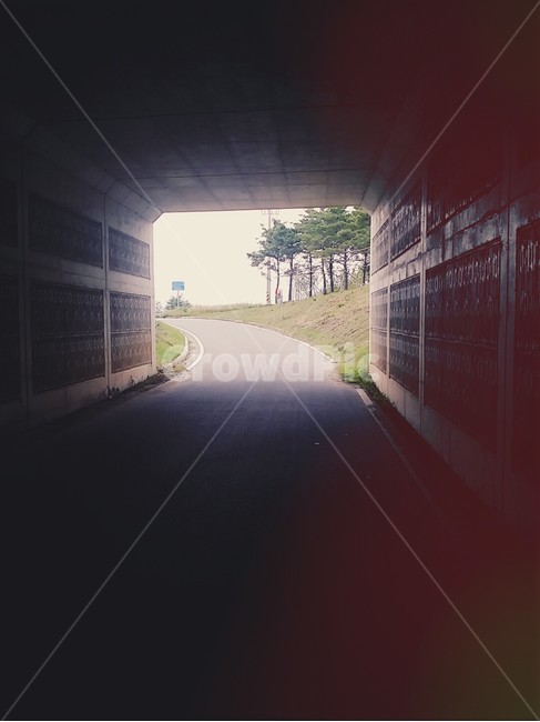 터널,나무,도로,풀,빛