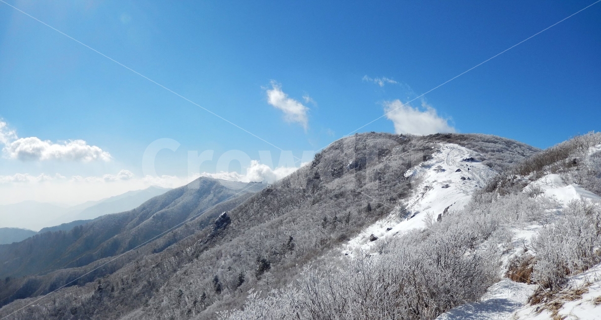 소백산,눈꽃풍경,상고대,겨울풍경,국립공원,겨울동화,힐링,감성,아름다움,뷰티풀,설국,눈풍경,파란하늘,100대명산,겨울명산,설경,서리꽃,영동,snow,landscape,눈,화이트,자연,신비로운,경이로운,천상,비경,치유,산,명산,파노라마,겨울,계절,winter,season,자연,풍경,nature,landscape,한국자연풍경,한국자연경관,korea nature landscape,mountain,outdoors,옥외,slope,경사,mountain range,산맥