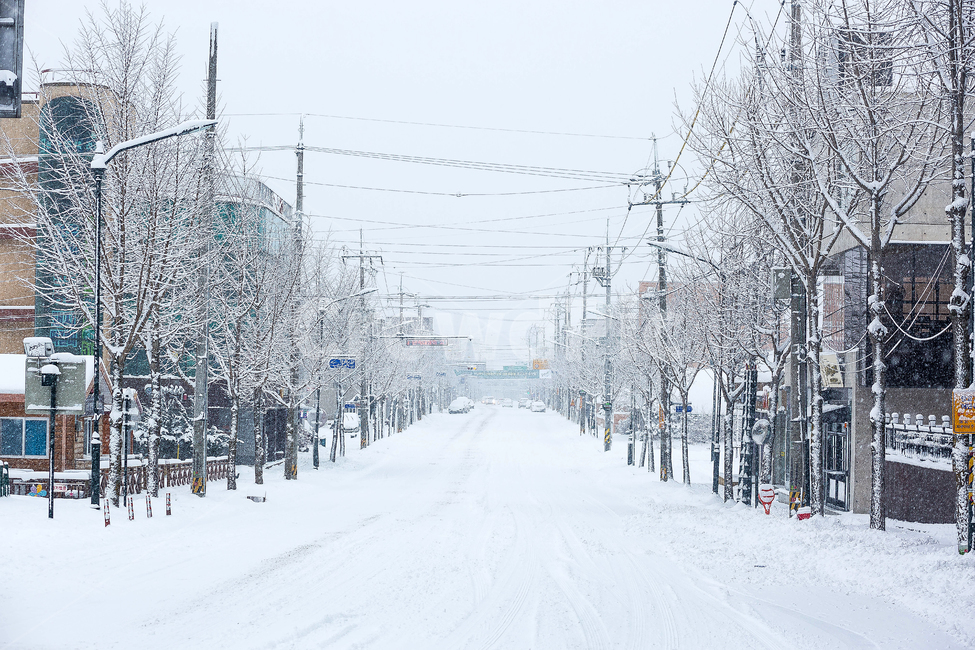 담양,설경,눈쌓인거리,겨울,눈길,눈쌓인도로,겨울,계절,winter,season,도시,풍경,city,landscape,한국도시풍경,한국도시경관,korea cityscape,nature,자연,outdoors,옥외