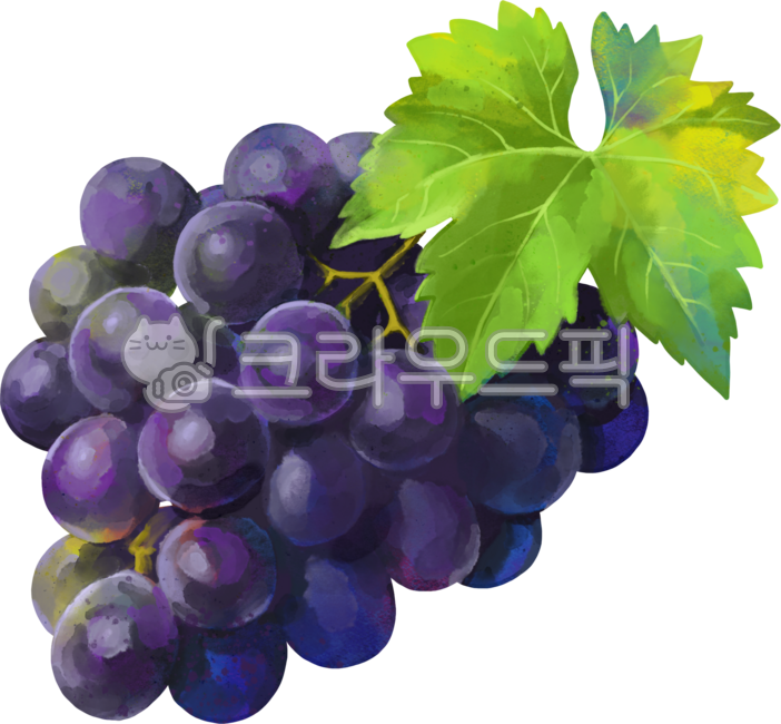 과일,신선함,상큼함,달콤함,비타민,자연,유기농,생기,컬러풀,수채화,여름,건강,향기,과즙,청량,디저트,상큼달콤,프레시,제철,에너지,활력,비비드,감성,일러스트,푸드아트,자연미,풍요,산뜻함,맛있음,과일향,휴식,힐링,내추럴,상쾌,생동감,포도