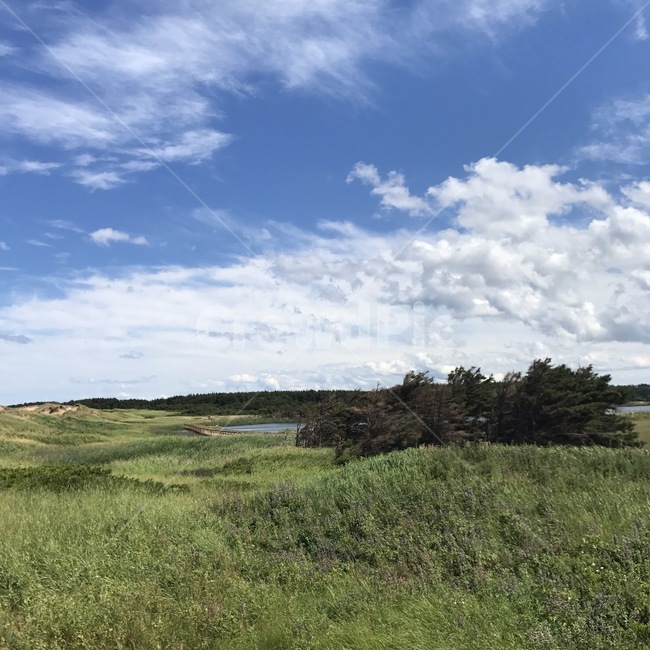 자연,하늘,구름,들판,초원,nature,sky,cloud,grassland,field,자연,풍경,nature,landscape,outdoors,옥외,들,목초지