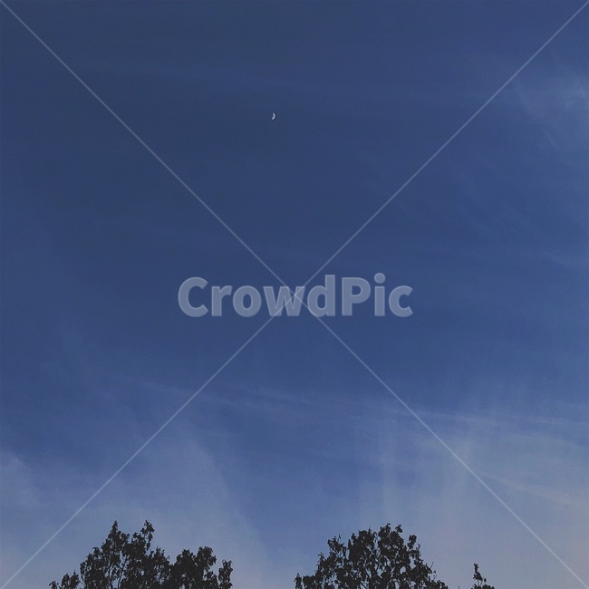 하늘,달,나무,구름,sky