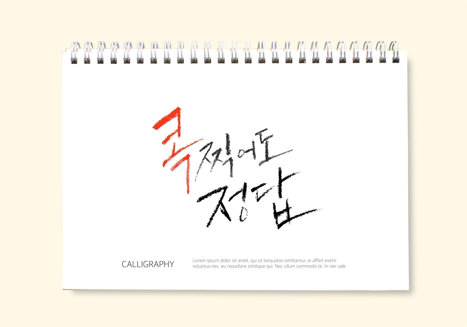 정답,시험,수능,손글씨,붓글씨,캘리,캘리그라피,교육,학교,공부,education,learning,study,school,그래픽,일러스트레이션,graphic,illustration,캘리그라피,손글씨,calligraphy