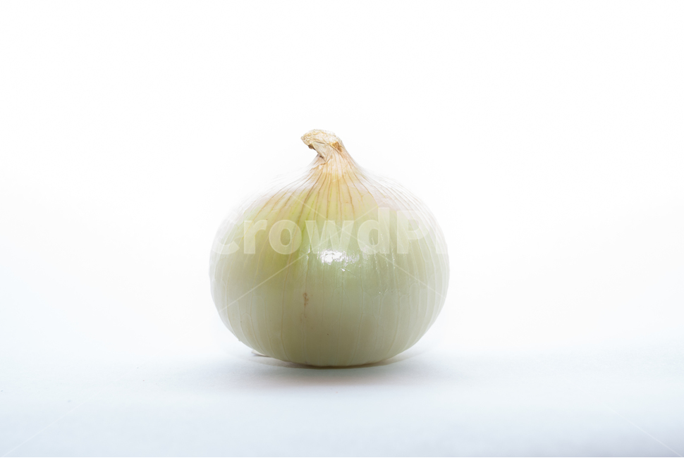 양파,음식,채소,야채,식재료,식품,요리,요리재료,신선한,누끼,배경,싱싱한,국산,국내산,농작물,하얀배경,가로,육종,양파즙,농업,농사,음식,식재료,요리,food,cook,meal,dishes,food reserves,채소,야채,vegetables,누끼,remove background