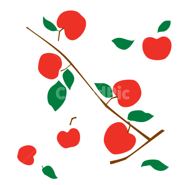 사과,사과그림,사과나무,과일,과일일러,일러스트,사과일러스트,그림,잎파리,빨간색,초록,식물,명절,plant,apple,illustraion,fruit,음식,식재료,요리,food,cook,meal,dishes,food reserves,과일,열매,fruit,누끼,remove background