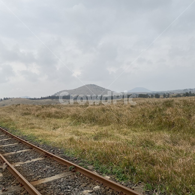 레일,풍경,자연,기찻길,rail