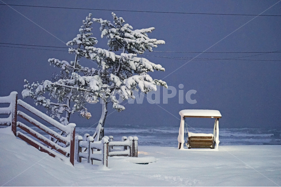 바다,눈,눈내린바다,동해,바닷가,해변,바다그네,자연,sea,겨울,계절,winter,season