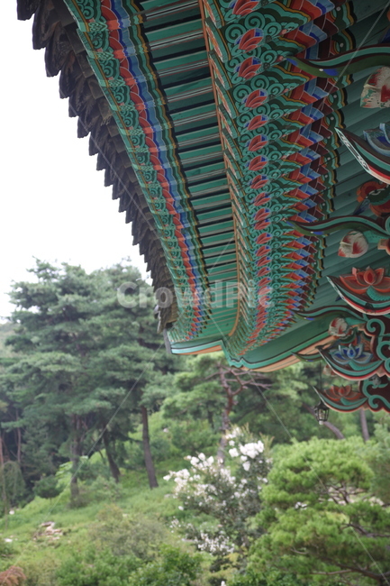 처마,절,문양,전통,지붕,사찰,불교