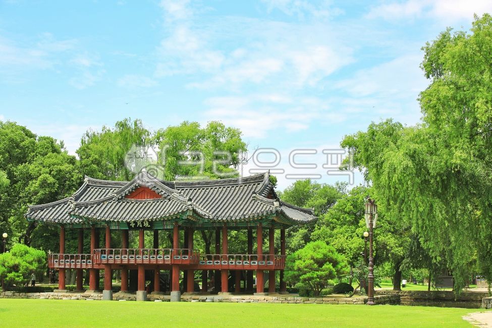 광한루,완월정,역사적유물,정자누각,자연,연못,반영,물,옥외,공원,건축학,건물,나무,nature,outdoors,park,architecture,building