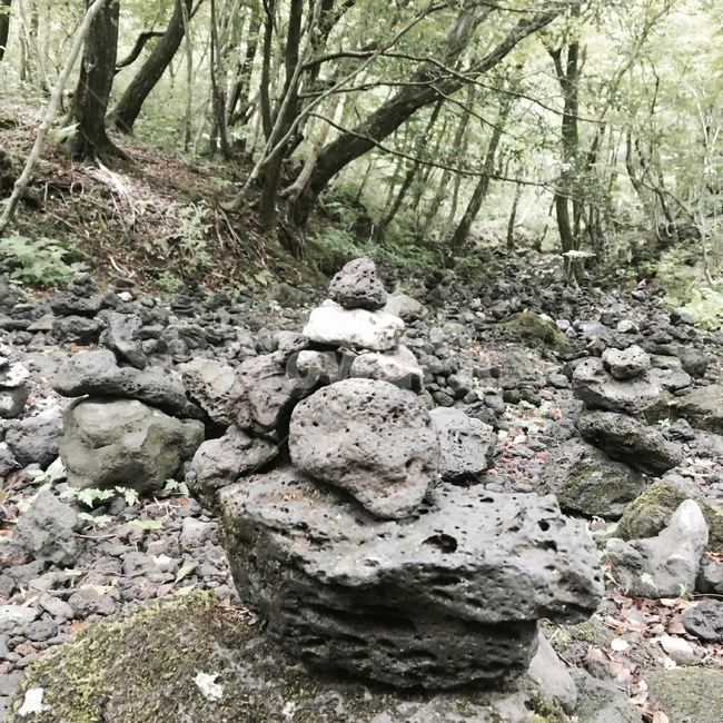 돌,숲,돌맹이,땅,소원