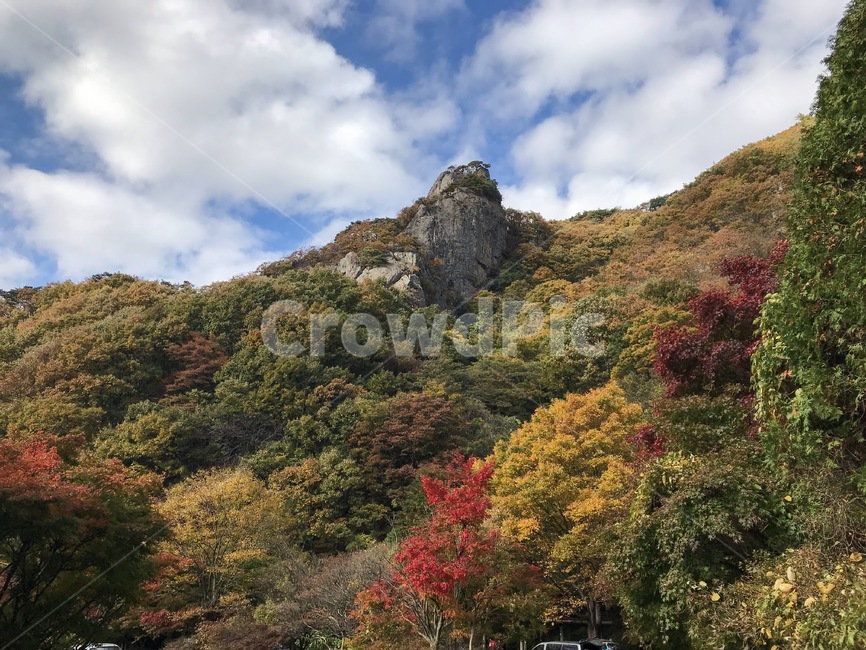전라북도,내장산,울긋불긋,단풍,등산,정읍,자연경관