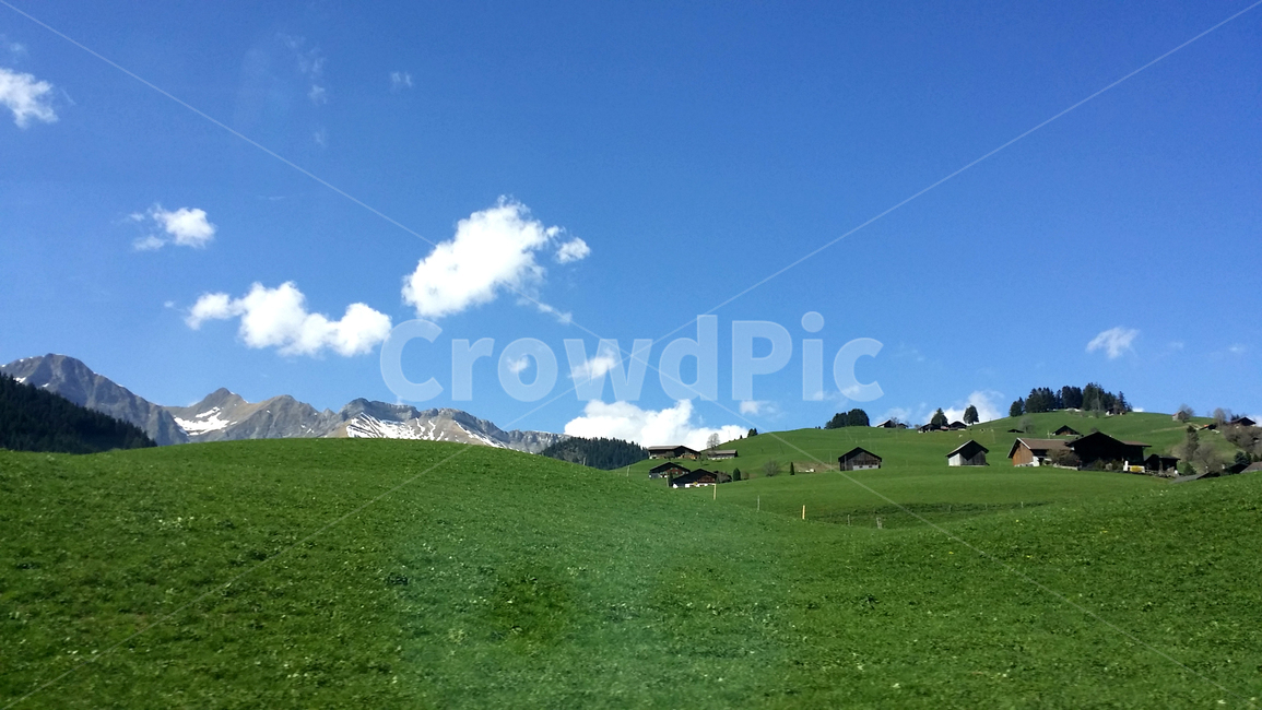 스위스,switzerland,잔디,하늘,맑은,산마을,산,초원,풀,푸른