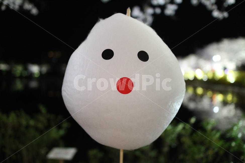 plant,flower,blossom,식물,꽃,벚꽃,연화지,김천연화지,김천,야경,호숫가,호수지,호수,솜사탕,봄,봄야경,벚꽃야경