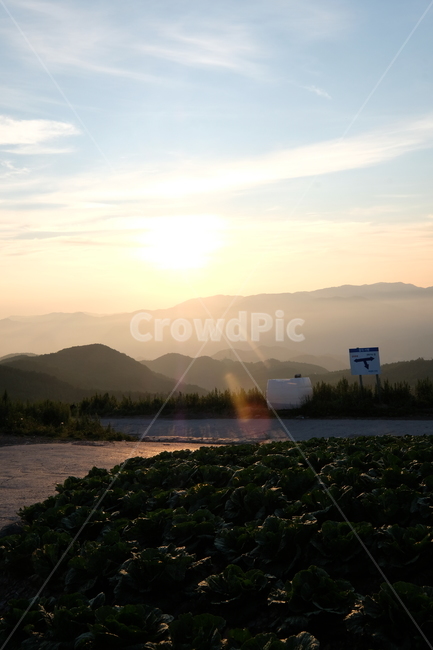 light,빛,flare,nature,자연,outdoors,자연,풍경,nature,landscape