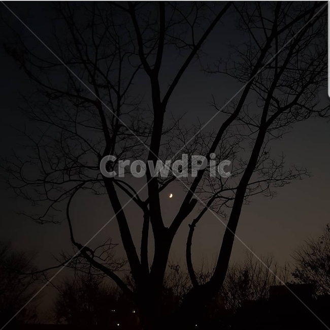 자연,nature,달,moon,밤,야경,밤,풍경,nightscape,night,landscape