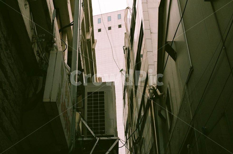 골목길,동성로,대구,건축물,감성,홍콩감성,도시,도로,city,거리,건물,path,사이버펑크,street,building
