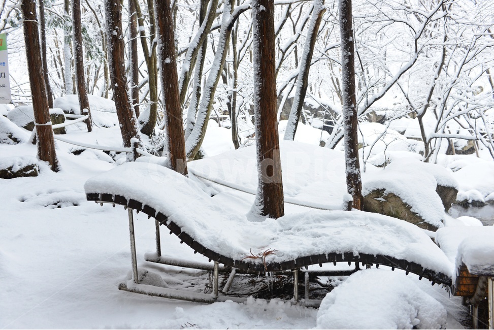 장성,입암산성,남창게곡,설경,남창계곡설경,storm,폭풍,tree,나무,plant,식물,ice,빙,snow,눈,winter,겨울,nature,자연,outdoors,옥외,blizzard,눈보라,의자,벤취,겨울,계절,winter,season,자연,풍경,nature,landscape