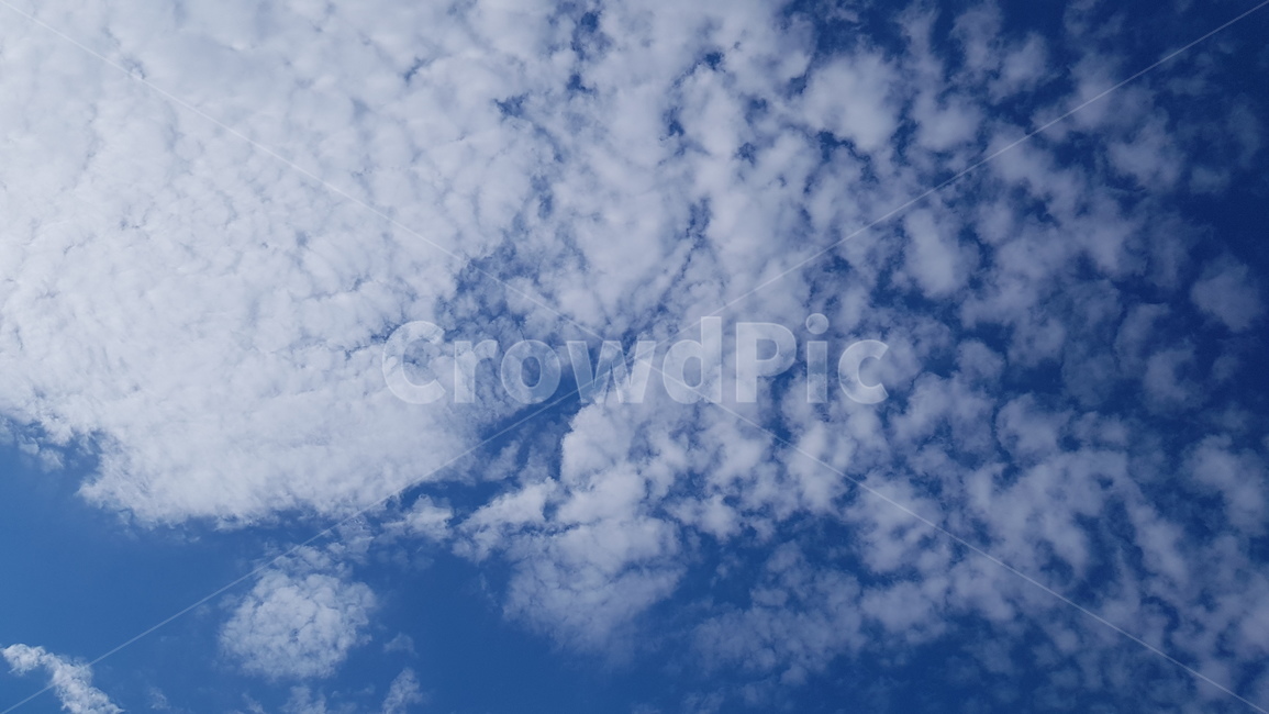 여름하늘,여름구름,구름낀하늘,하늘,자연,sky,cloud,bluesky,구름,파란하늘,summersky