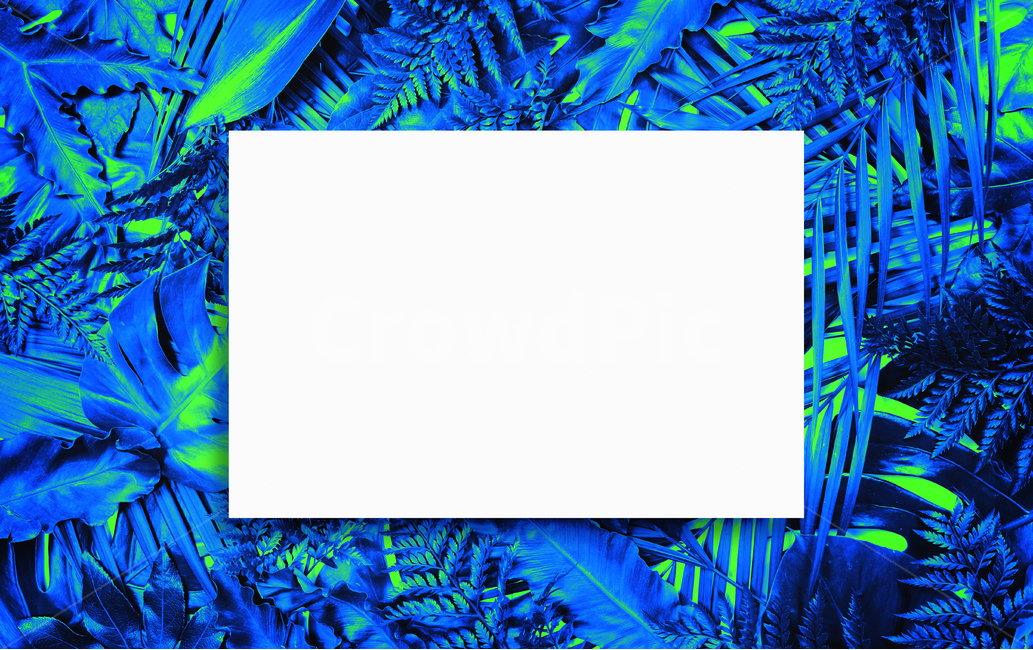 prepare,natural,neon,Botanical Frame,Botanical,leaf,summer,tropical,background image,palm tree,Neon,reversal,background,plant,tropical plants,jungle,colorful,frame