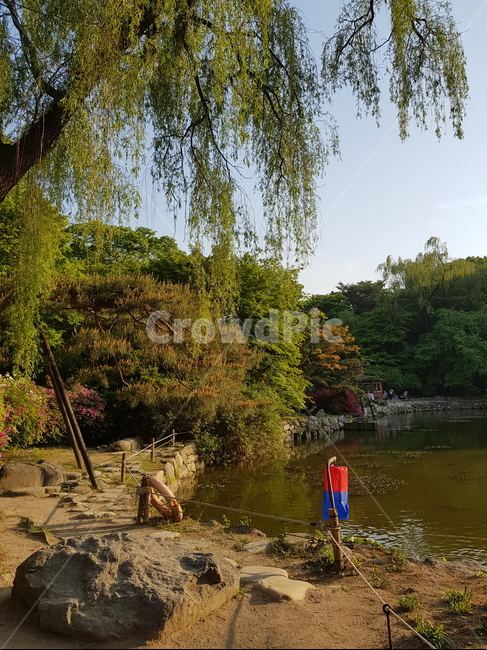 한국,전통,창경궁,문화재,역사,korea,tradition,changgyeonggung,palace,history