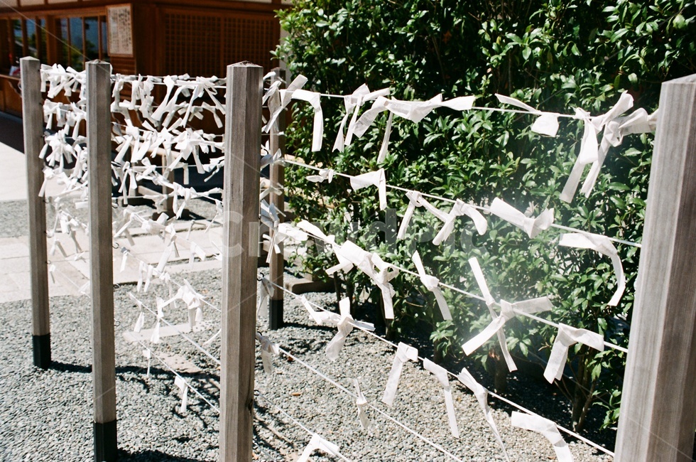 편지,소원,쪽지,소망,기원,바람,필름카메라,필름,아날로그,감성,film,felling,analogue,wish,letter,줄,종이,paper,종교,신앙,religion,belief,faith