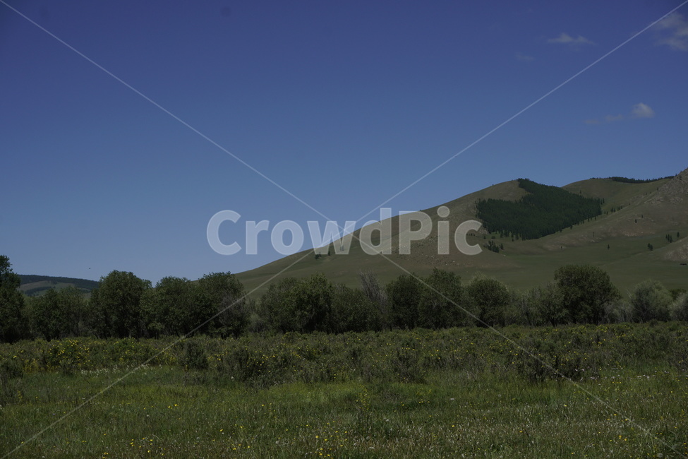nature,자연,outdoors,grassland,목초지,field,들,sky,tree,grass,산,나무,풀,초원