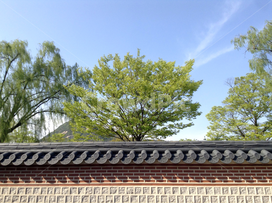 서울,경복궁,함화당,집경당,gyeongbokgung,gyeongbokgungpalace,gyeongbokpalace,koreapalace,한국전통,한국문화,korean traditional,korean culture,랜드마크,landmark,tourist attraction,한국랜드마크,한국관광지,한국명소,korea landmark,korea tourist attraction,건축물,건물외관,exterior,building,structure,architecture,construction