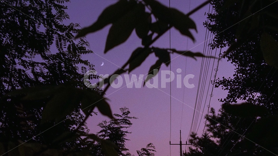 감성,분위기,보라,달,그림자,moon,야경,밤,풍경,nightscape,night,landscape,실루엣,그림자,silhouette,shadow,색깔,색상,색채,색감,color sense,color sensitivity,feeling of color