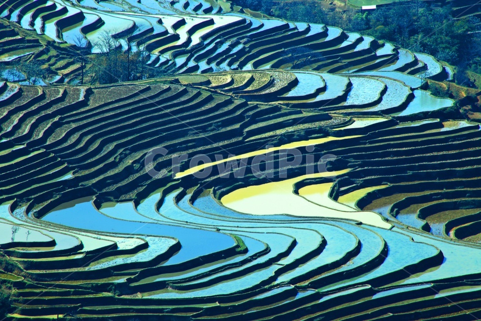 중국,운남성,원양,다랭이논,논,경치,경관,풍경,nature,자연,water,물,outdoors,옥외,ripple,리플,자연,풍경,nature,landscape,해외,외국,세계,foreign,oversea,world,세계자연풍경,해외자연풍경,외국자연풍경,world nature landscape