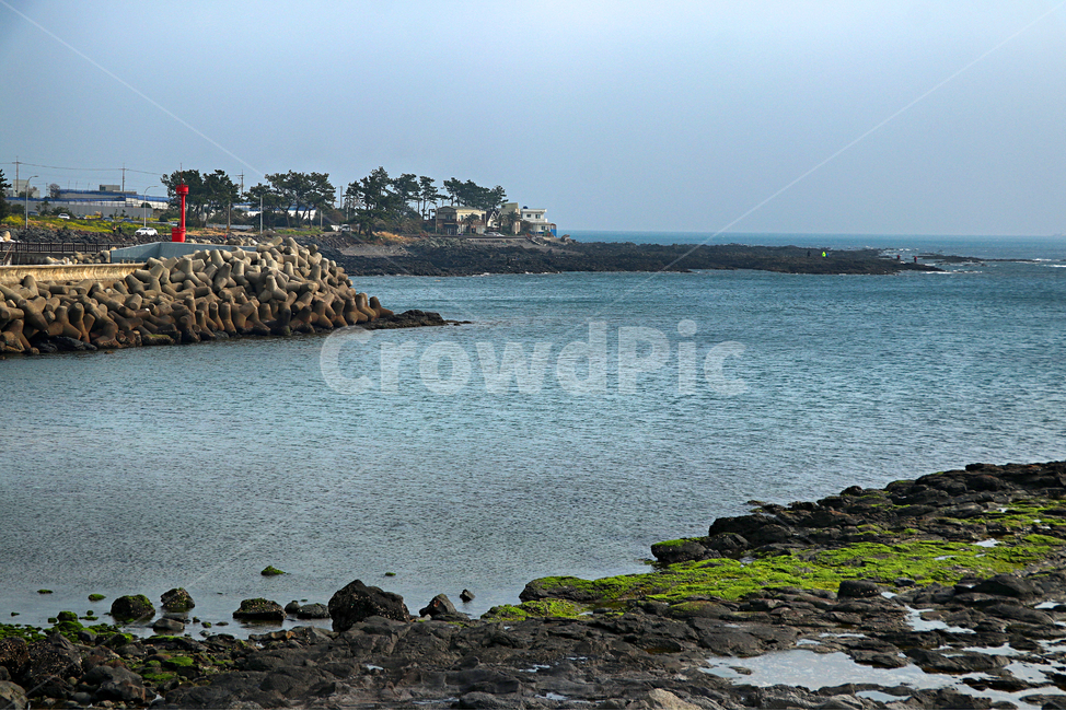 제주도,서귀포,박수기정,해안가,바다,풍경,옥외,자연,outdoors,nature