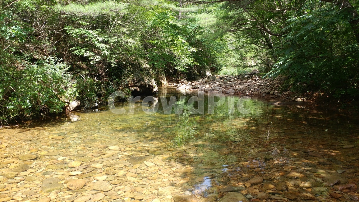 water,물,nature,자연,outdoors,옥외,creek,작은만,stream,흐름,land,나라,맑은,개울,계곡,바위,돌,나무,풀,깨끗한,시원한,여름