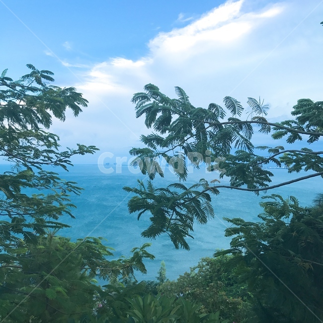 하늘,구름,나무,바다,sky,cloud,trees,sea