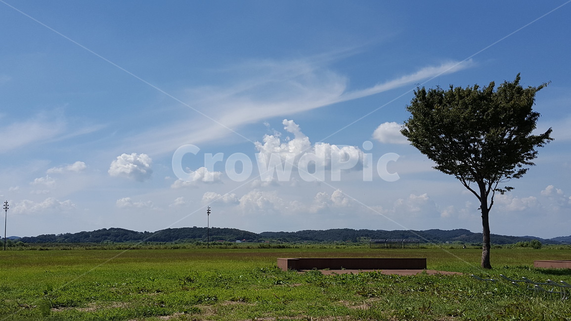 초원,나무,구름,하늘,들판,field,tree,clouds,sky,plain,grassland