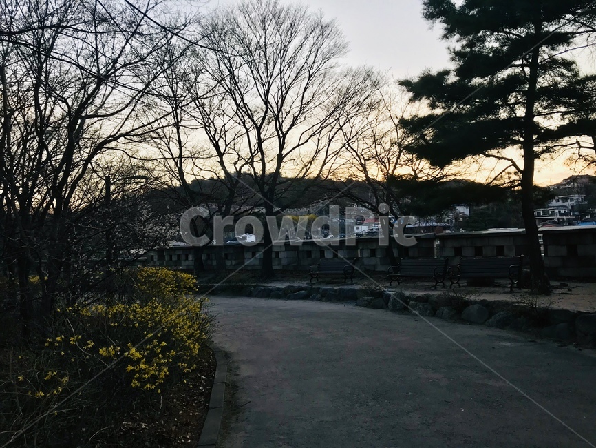 꽃,풍경,나무,성곽,산책,산,해질녘,저녁,하늘,도시,풍경,city,landscape,한국도시풍경,한국도시경관,korea cityscape,asphalt,아스팔트