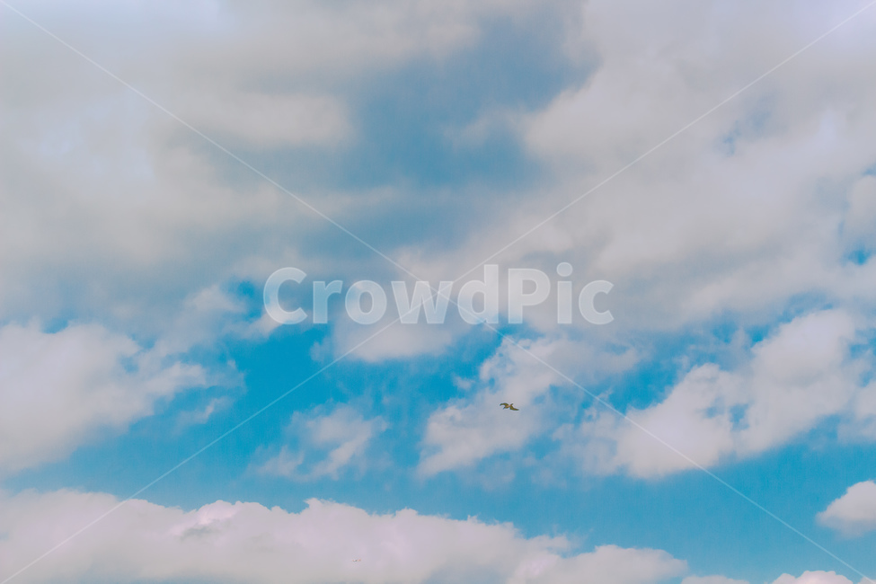 sky,blue sky,color,black bird,clear sky,cloud,blue,cloud sky,sky bird,Sky blue,sky clouds,Sky of Autumn