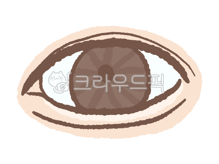 double eyelid,body part,physiognomy,focus,concentration,look,eyes,Eye illustration,pupil,eye,posterior epicanthoplasty,eye shape,vision,view,epicanthoplasty,eye drawing,aegyo sal,eyeball