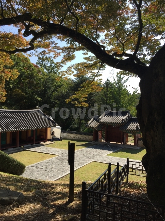 한국적,한국전통,전통적인,정원,한국정원,소풍,야외,수학여행,여행,한국기와,전통가옥,한국양식,기와집,유적지,한국전통,한국문화,korean traditional,korean culture,랜드마크,landmark,tourist attraction,한국랜드마크,한국관광지,한국명소,korea landmark,korea tourist attraction