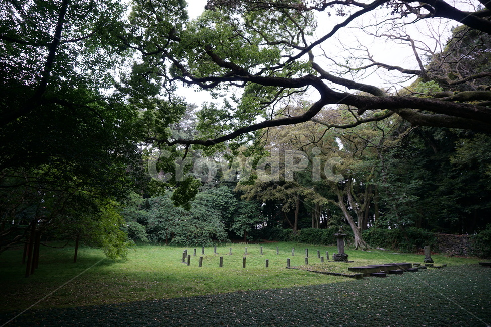 삼성혈,제주,탐라,숲,제단,흐림,나무,음산한